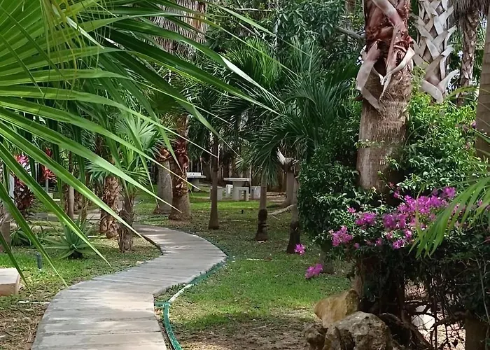 Playa Zen Apartamento *